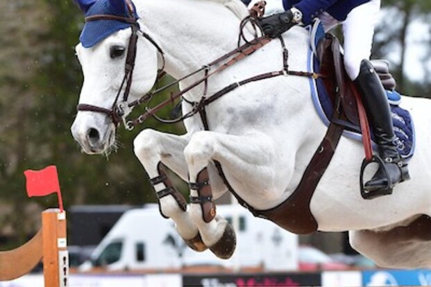 LGCL Chantilly: Devos en Philippaerts scoren