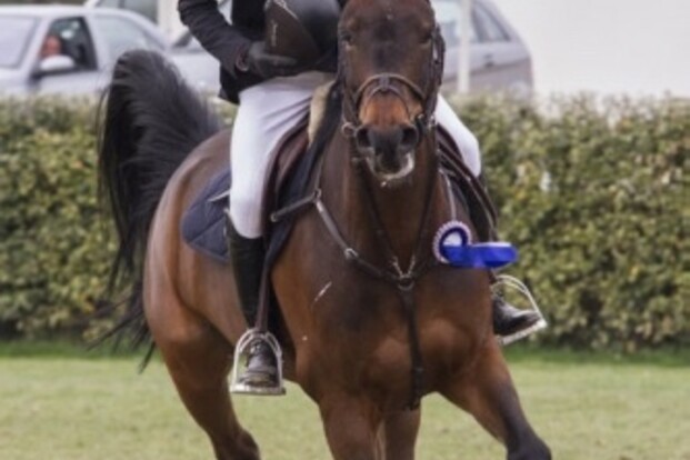 Appelen met Wildcard derde in 1.45m Lummen