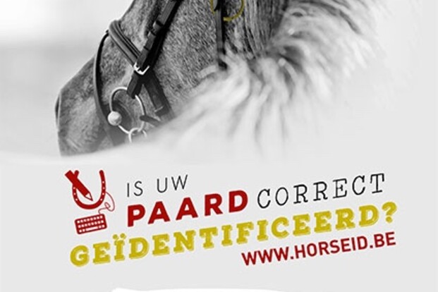 Verplichte identificatie van paarden kan ... Verplichte identificatie van paarden kan ...