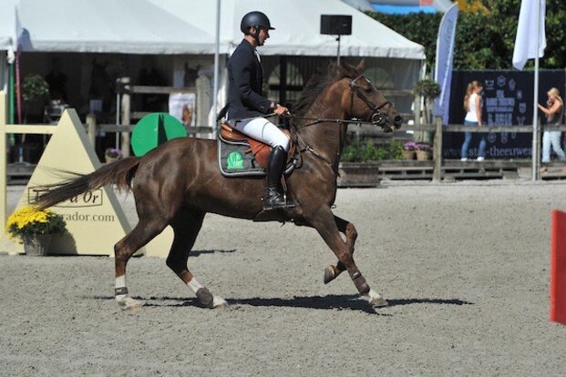 CSI3* Opglabbeek: winst voor Anthony Wellens