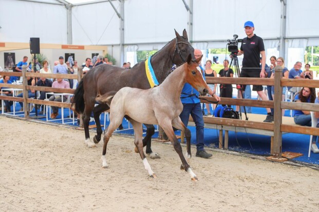 Ailyn R Z en Montevideo Z zijn de winnaars van dag 2! Ailyn R Z en Montevideo Z zijn de winnaars van dag 2!