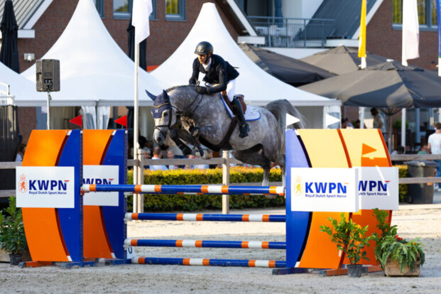 Pagani Of The Paddocks wint het KWPN Kampioenschap! Pagani Of The Paddocks wint het KWPN Kampioenschap!