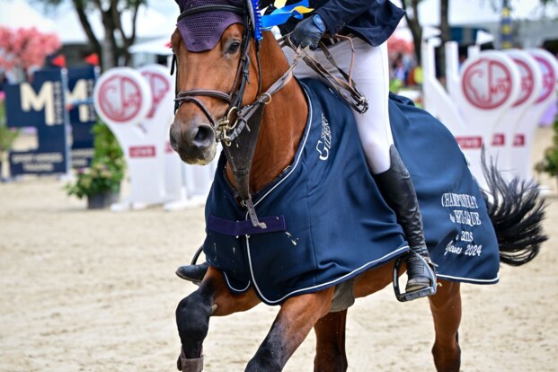 Elmo de Bo Z en Thomas Mertens winnen goud bij de 5-jarigen Elmo de Bo Z en Thomas Mertens winnen goud bij de 5-jarigen