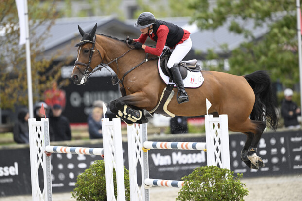 Pascale Haep wint de troosting voor de 8-jarige paarden