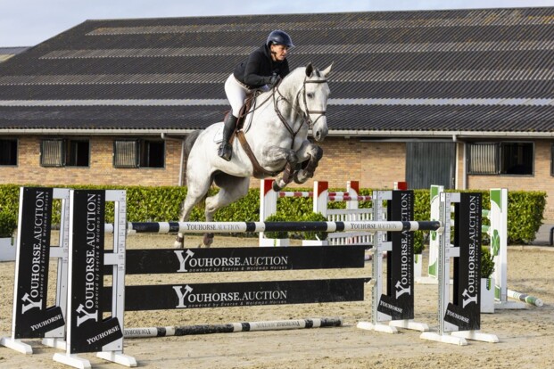 Duitsland legt vier duurste paarden herfstveiling Youhorse.auction vast