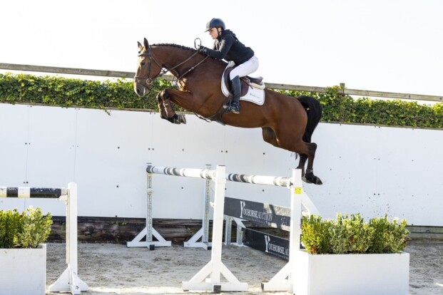 55.000 euro voor Emerald-dochter Ohlala in Youhorse.auction