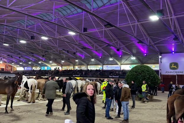 De Azeltofste Paardenmarkt: een unieke paardenmarkt primeur op 30 november 2024