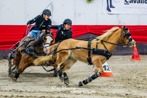 Belgische menners schitteren: 5 overwinningen tijdens Indoor De Kroo