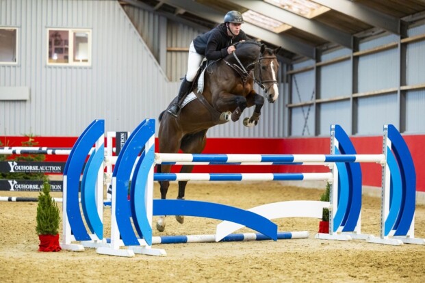 Youhorse.auction luidt de feestdagen in met topprijzen én vleugje kerstmagie