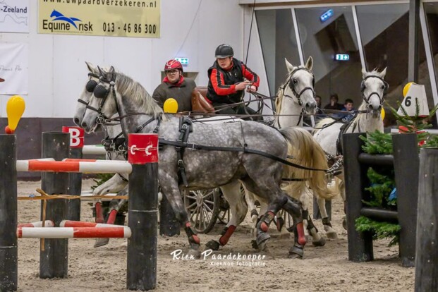 Veelbelovende start voor het eerste Vlaams Indoor Kampioenschap Mennen in Adegem Veelbelovende start voor het eerste Vlaams Indoor Kampioenschap Mennen in Adegem
