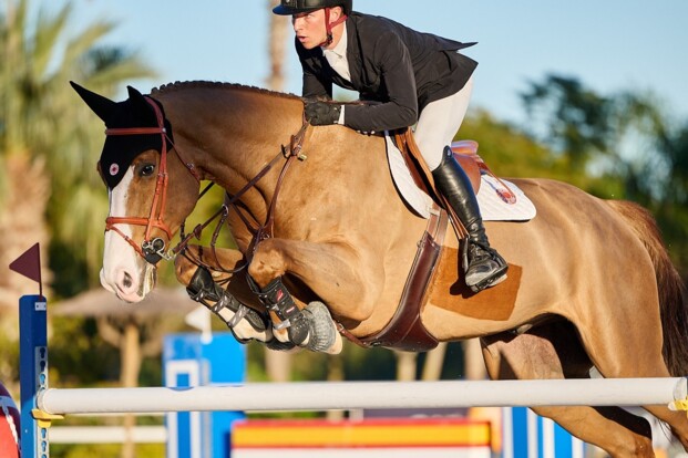 Tweede overwinning op rij voor Mathieu Guery Tweede overwinning op rij voor Mathieu Guery