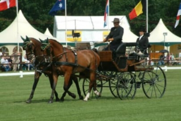 Afscheid van Marc Dieleman Afscheid van Marc Dieleman