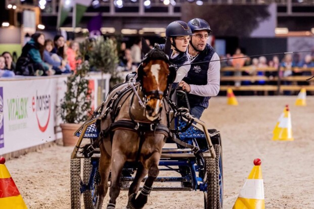 Flanders Horse Expo: Best of Belgium