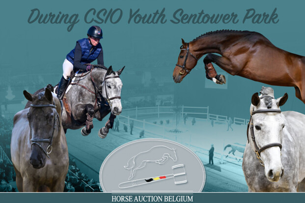 Horse Auction Belgium keert terug met een spannende live veiling tijdens de CSIO Youth in Sentower