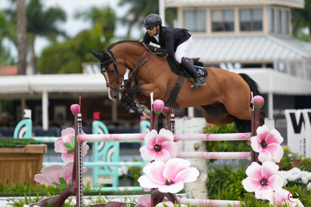 Abdel Saïd wint de Grand Prix qualifier in Wellington International