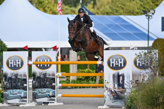 Belgen kleuren de top tien in Sires of the World Belgen kleuren de top tien in Sires of the World