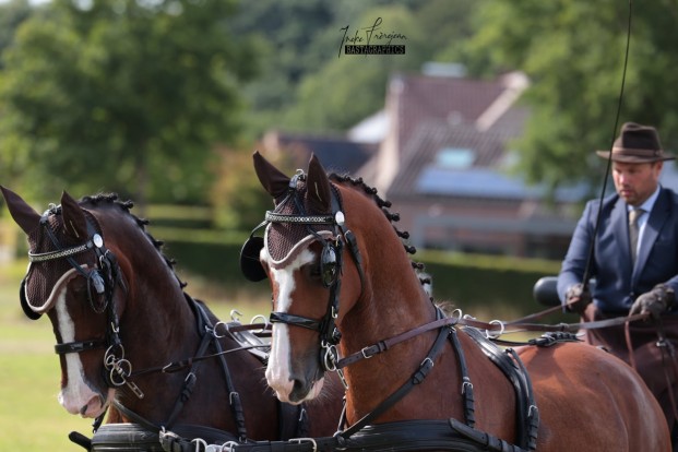 Bert De Brabander wint in Genk en pakt leiding in Beker van België