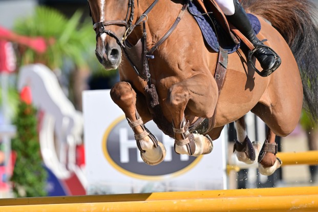 Zon, snelheid en succes: Belgische ruiters imponeren in Saint-Tropez
