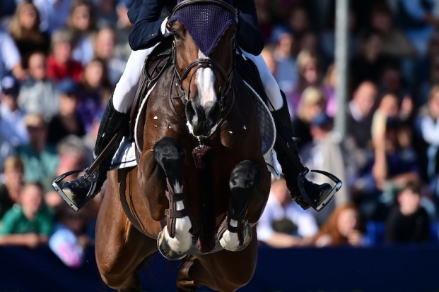 En zo begon het weekend op Jumping Mechelen ...