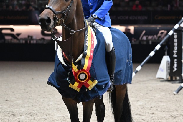 Alexander Housen triomfeert in Hengstencompetitie met Django Z: “Een power house”