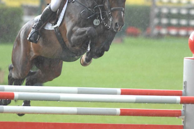 Olympisch goud, eeuwige herinnering: Goldfever is er niet meer Olympisch goud, eeuwige herinnering: Goldfever is er niet meer