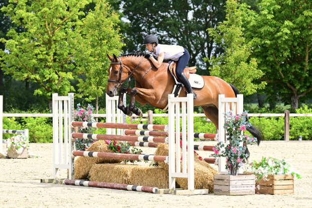 SLF Summer Auction keert terug met een uitstekende collectie veulens, jonge talenten en bewezen sportpaarden SLF Summer Auction keert terug met een uitstekende collectie veulens, jonge talenten en bewezen sportpaarden