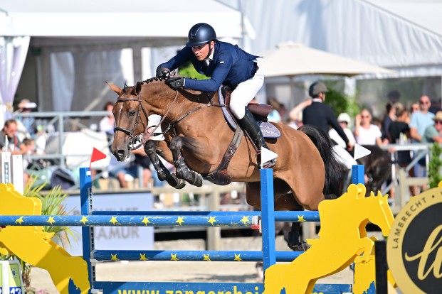 Jonge paarden stelen de show in Gesves en Opglabbeek