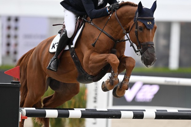 Alle Belgische hoop rustte op Mathieu Bourdeaud’Hui … en hij stelde niet teleur