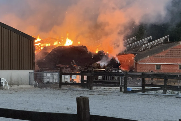 Vijftig paarden ontsnappen aan ramp na hevige brand in Zillebeke Vijftig paarden ontsnappen aan ramp na hevige brand in Zillebeke