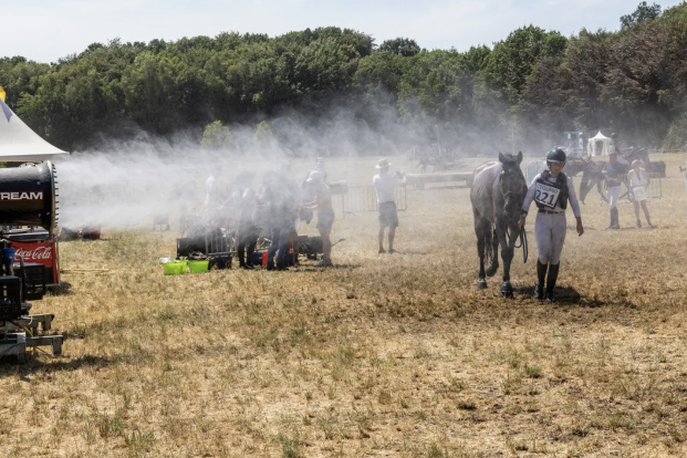 Extra maatregelen beschermen paarden tegen hitte tijdens l'Equino in Nokere