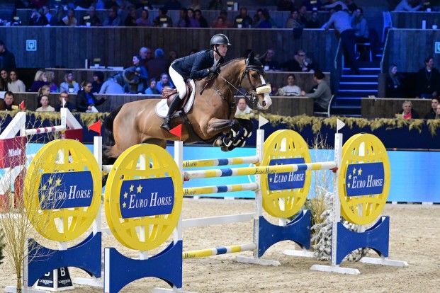 Twee topmerries uit de internationale springsport onder de hamer bij 365 Auctions by Zangersheide