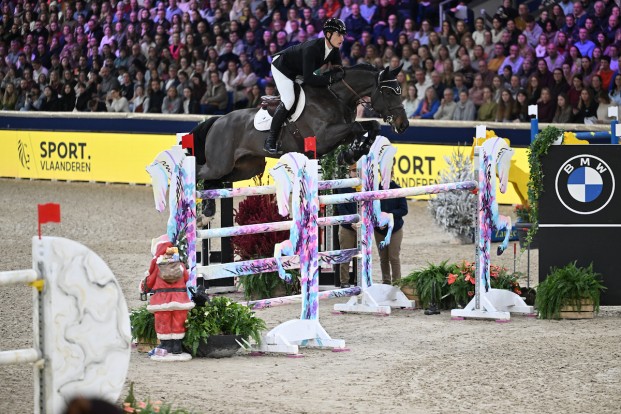 Thibault Philippaerts ziet toppaard vertrekken: Pittman van het Lilleveld verkocht naar Amerika