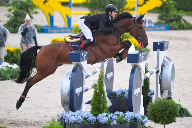 Brons voor België in finale van het WK voor 5-jarige paarden