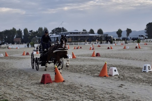 Belgische menners kleuren de podia tijdens CAI Le Touquet Belgische menners kleuren de podia tijdens CAI Le Touquet
