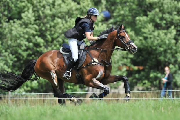 Tara van het Leliehof terug naar de plek van haar wereldtitel: België maakt selectie bekend