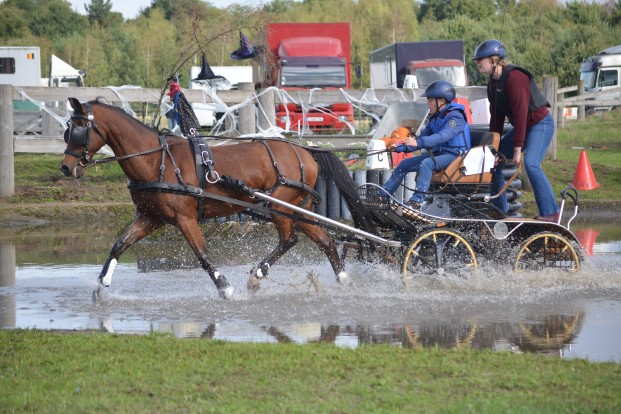 Jong talent en sterke combinaties sluiten outdoorseizoen af in Bornem