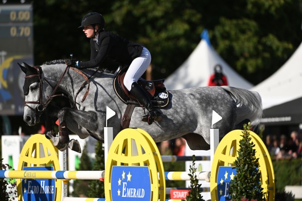 Belgische fokkerij schittert in Peelbergen: twee BWP-paarden springen de top tien binnen