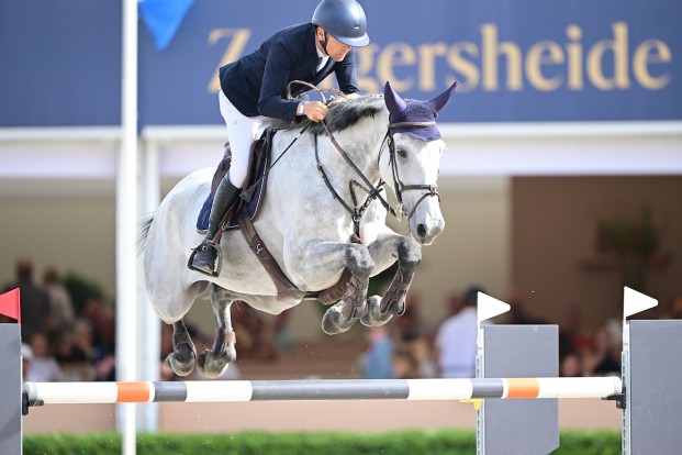Wilm Vermeir triomfeert in Sentower Park, Belgische fokkerij kleurt podium