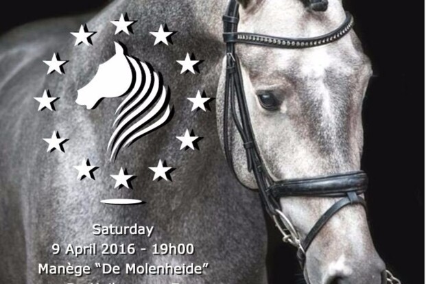 European Sport Horse Auction in Molenheide European Sport Horse Auction in Molenheide