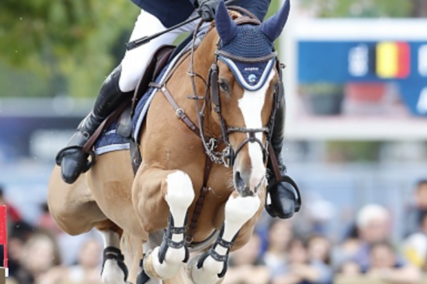 Drukbezette internationale selecties