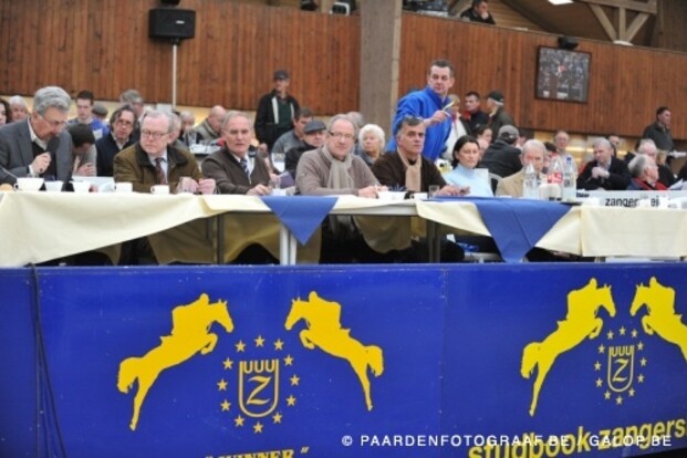 Zestig hengsten op de Zangersheide keuring