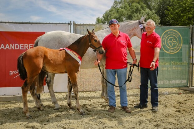 Wandor & Casall leveren winnaars Z-O-VL Wandor & Casall leveren winnaars Z-O-VL