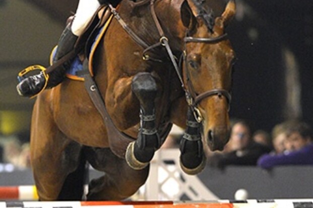 Prince de la Mare van Garcia naar Lopez