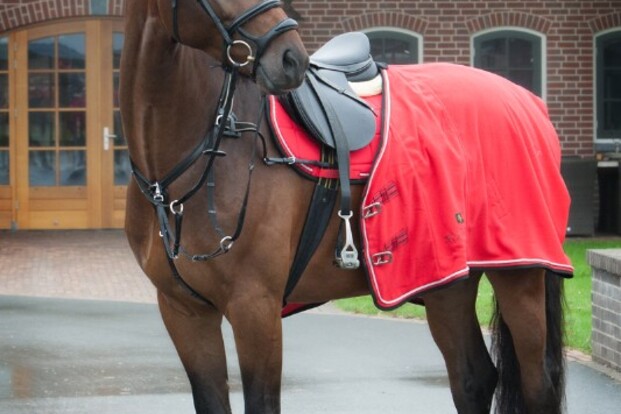 Geheel in style met BR Xcellence collectie Geheel in style met BR Xcellence collectie
