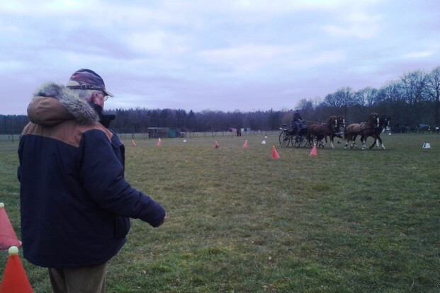 Félix-Marie Brasseur traint Belgisch vierspanteam Félix-Marie Brasseur traint Belgisch vierspanteam