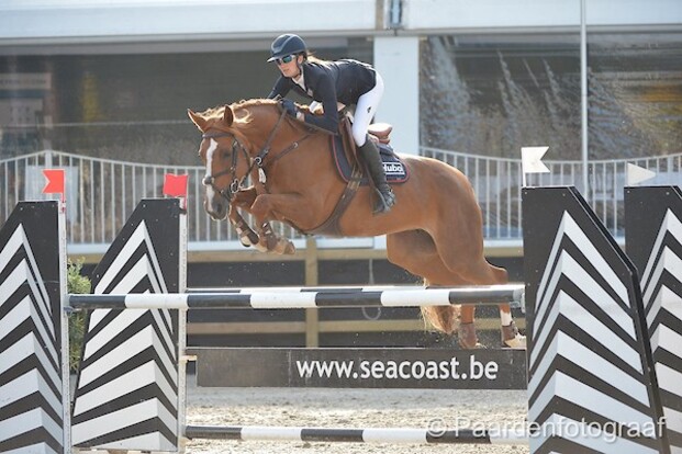 CSI2* Bonheiden: Ochtendwinst voor Laenen! CSI2* Bonheiden: Ochtendwinst voor Laenen!