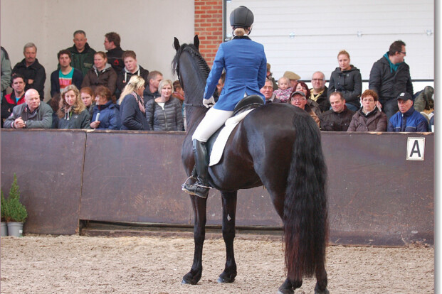 Louigi aanvaard voor Arabo-Fries Test-/Sport