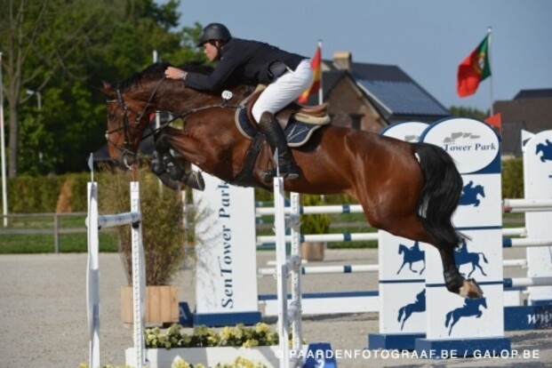 Kevin Vermeulen pakt Gold Cup zege 1.40m Kevin Vermeulen pakt Gold Cup zege 1.40m