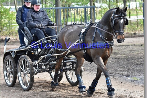 KNHS-Para Men Trophy 2017 voor Franciska den Elzen