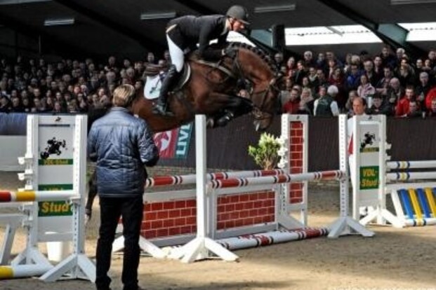 Etoulon VDL wint GMB Hengstencompetitie